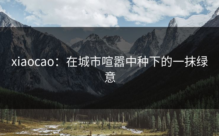 xiaocao：在城市喧嚣中种下的一抹绿意