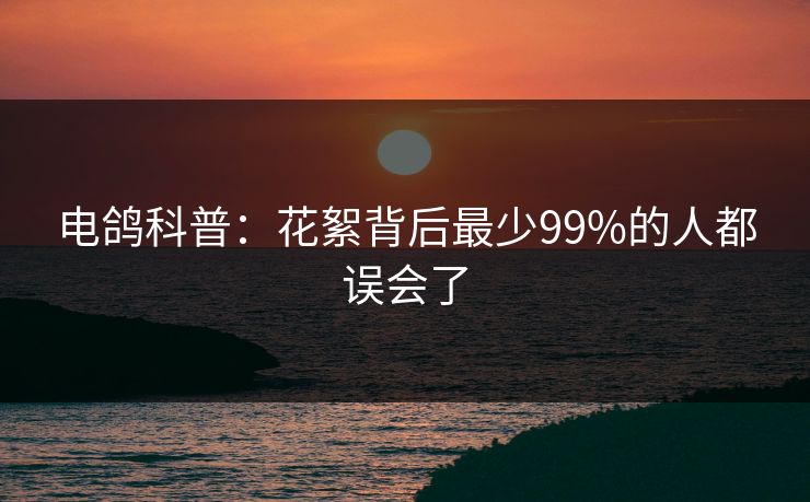 电鸽科普：花絮背后最少99%的人都误会了