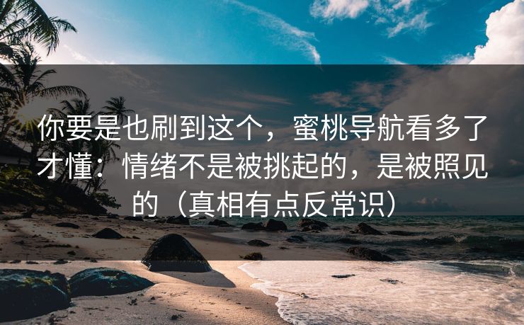 你要是也刷到这个,蜜桃导航看多了才懂:情绪不是被挑起的,是被照见的(真相有点反常识) 你要是也刷到这个,蜜桃导航看多了才懂:情绪不是被挑起的,是被照见的(真相有点反常识)